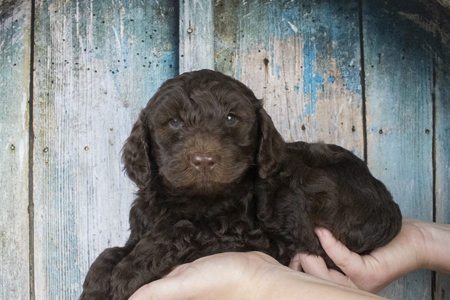 0039- wk6,2 0039- wk6,2