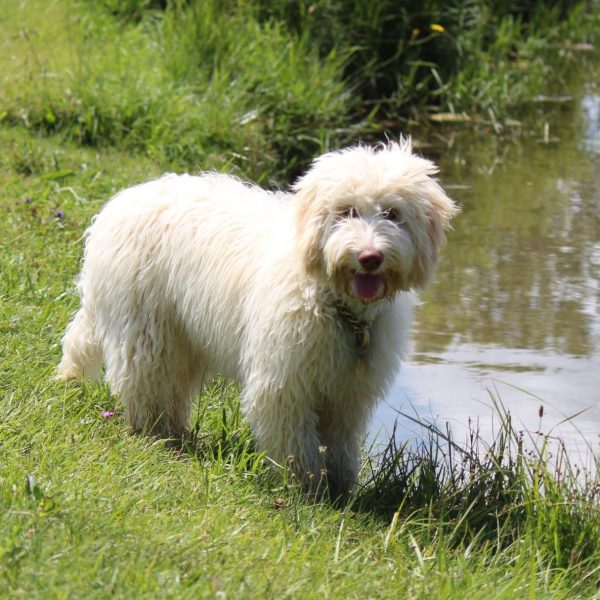 Aysha standing Aysha standing