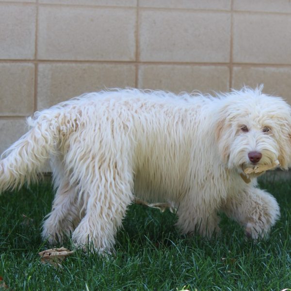Aysha with leaf Aysha with leaf