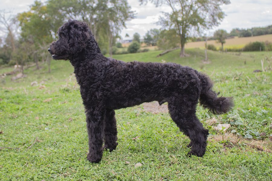 Egan pic 1 Egan pic 1