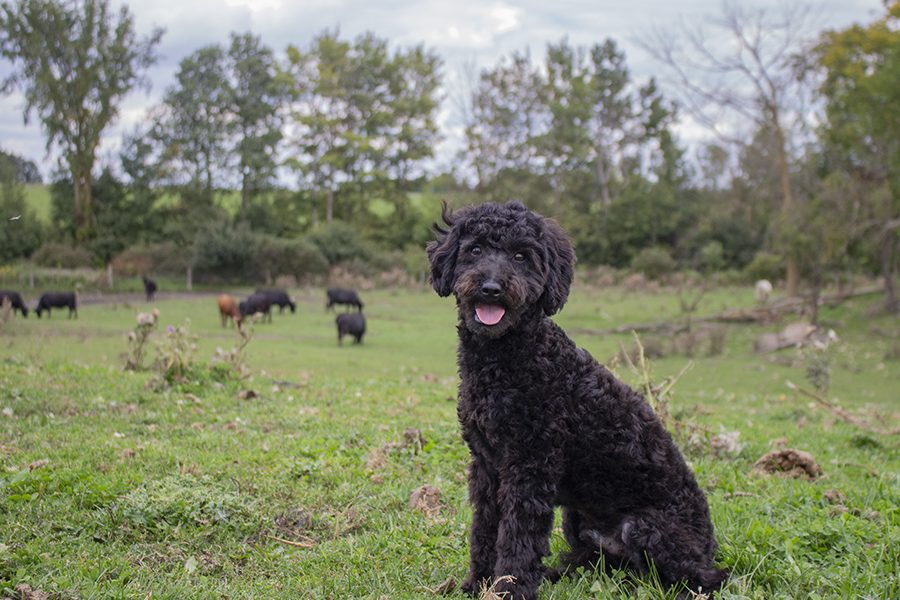 Egan pic 3 Egan pic 3