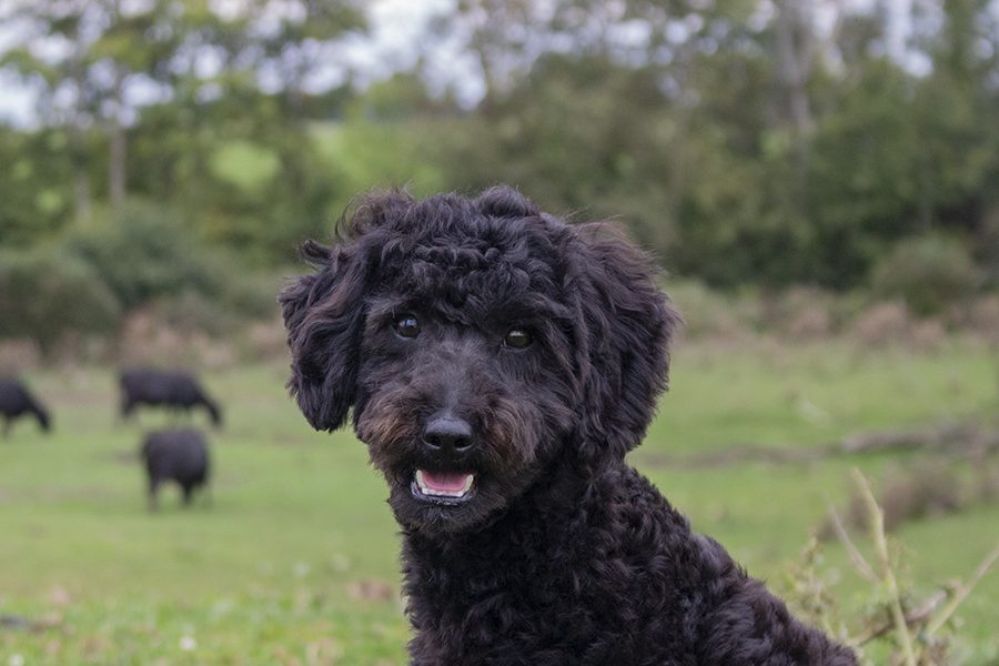 Egan pic 4 Egan pic 4