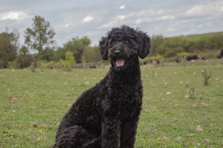 Egan pic 5 Egan pic 5