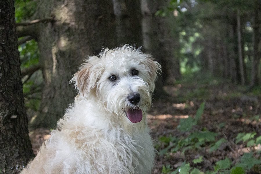 Karter pic 1 Karter pic 1