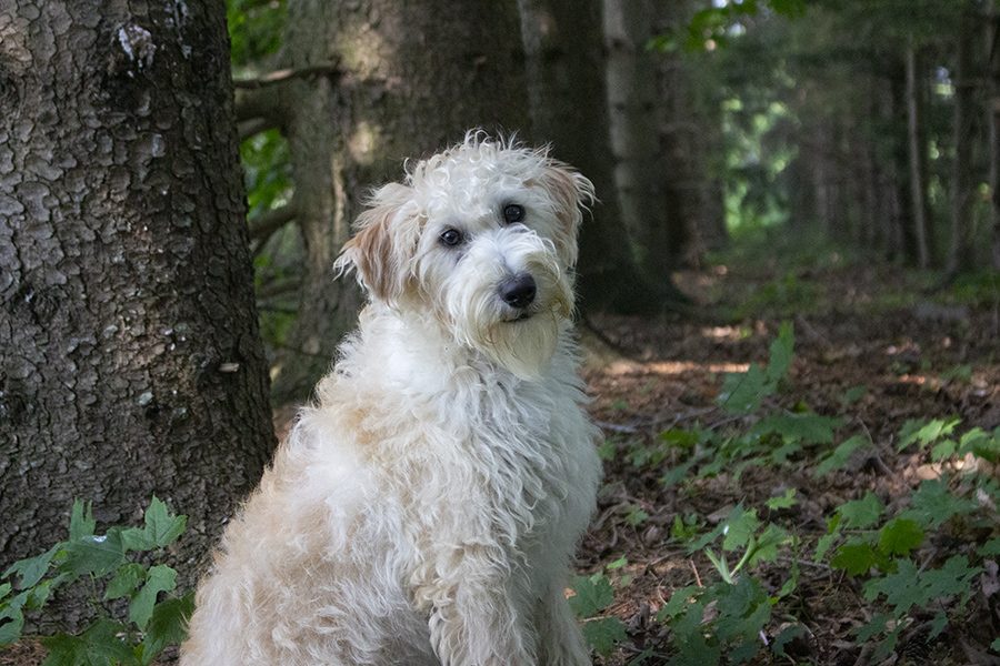 Karter pic 2 Karter pic 2