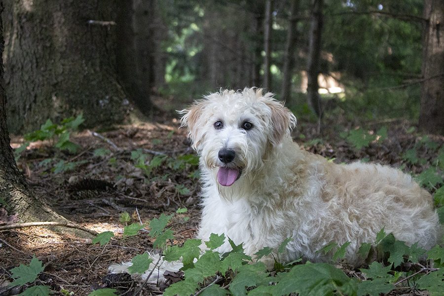 Karter pic 3 Karter pic 3