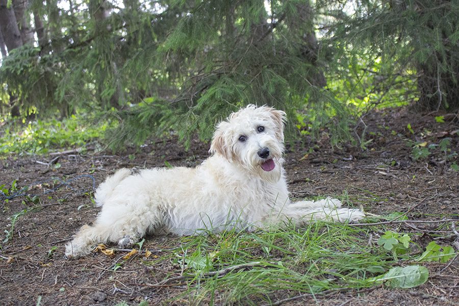 Karter pic 4 Karter pic 4