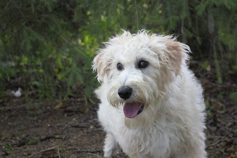 Karter pic 5 Karter pic 5