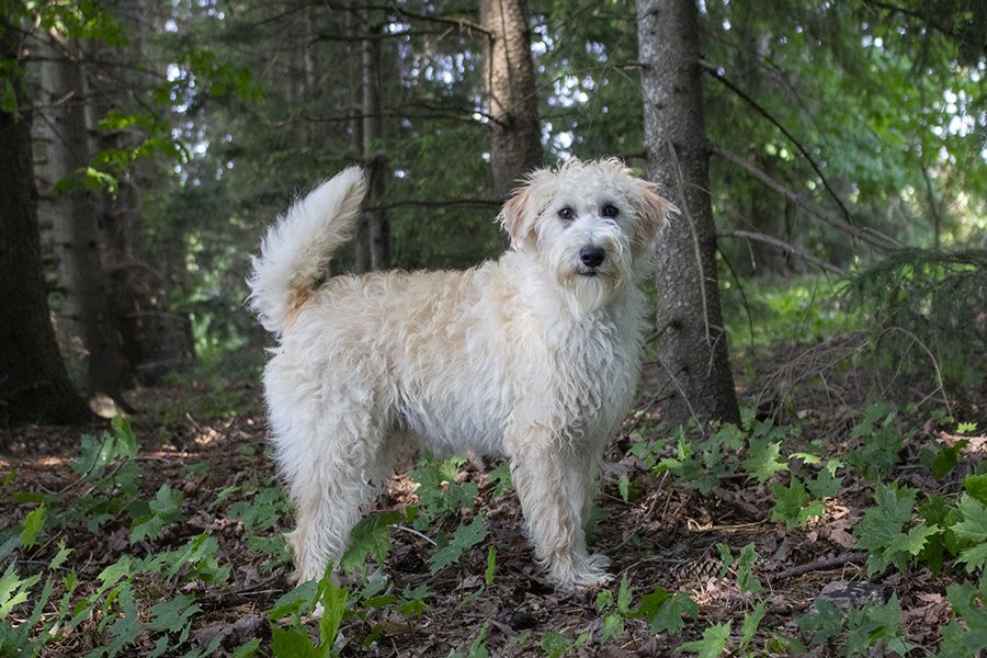 Karter pic 6 Karter pic 6