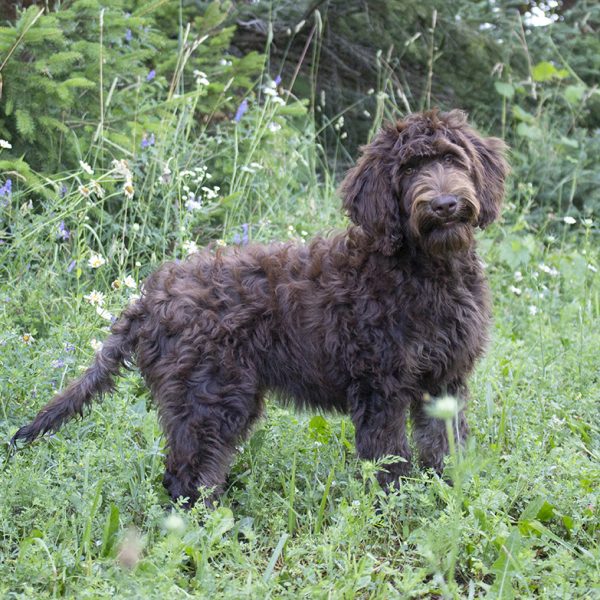 Paige pic 10 Paige pic 10