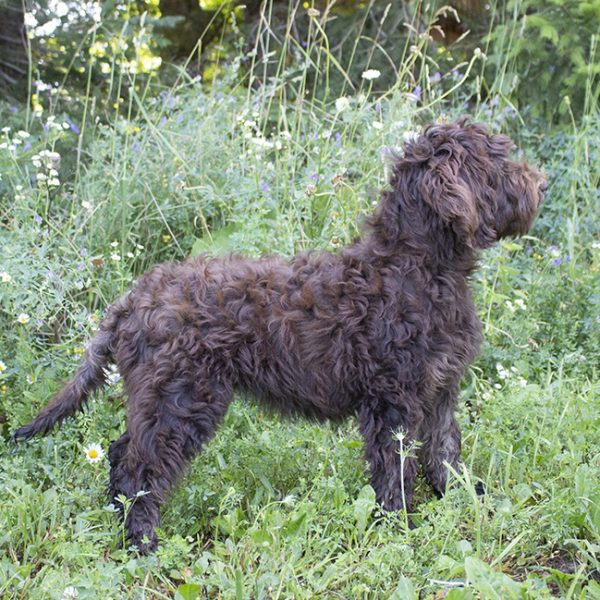 Paige pic 12 Paige pic 12