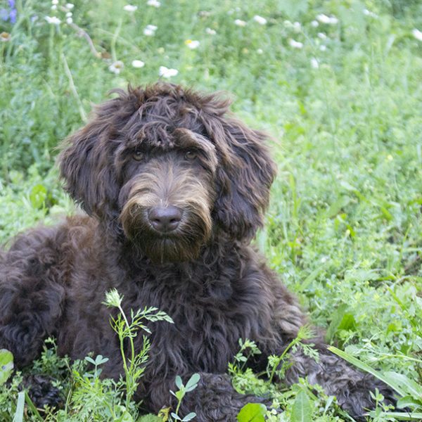 Paige pic 13 Paige pic 13