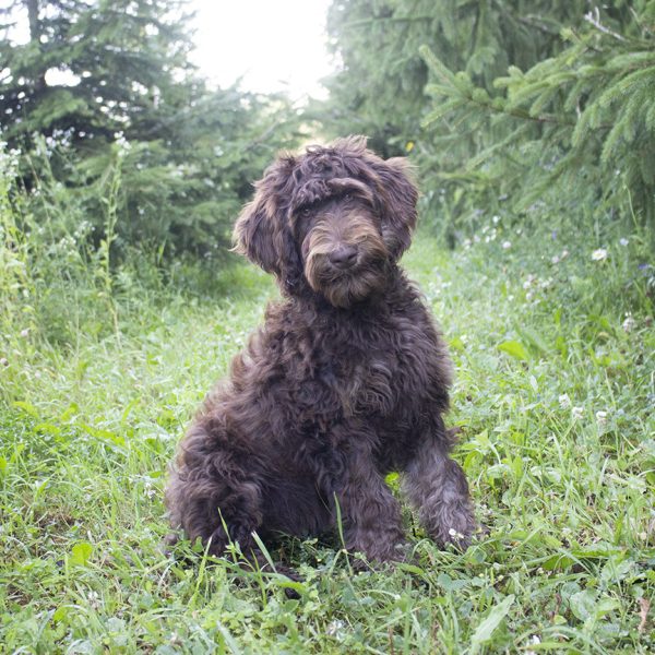 Paige pic 3 Paige pic 3