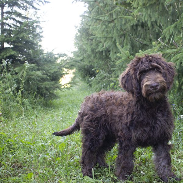 Paige pic 4 Paige pic 4