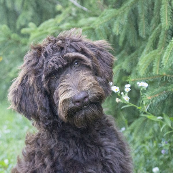 Paige pic 6 Paige pic 6