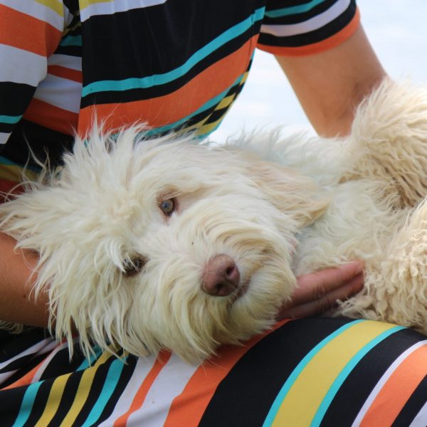 ayasha on back ayasha on back