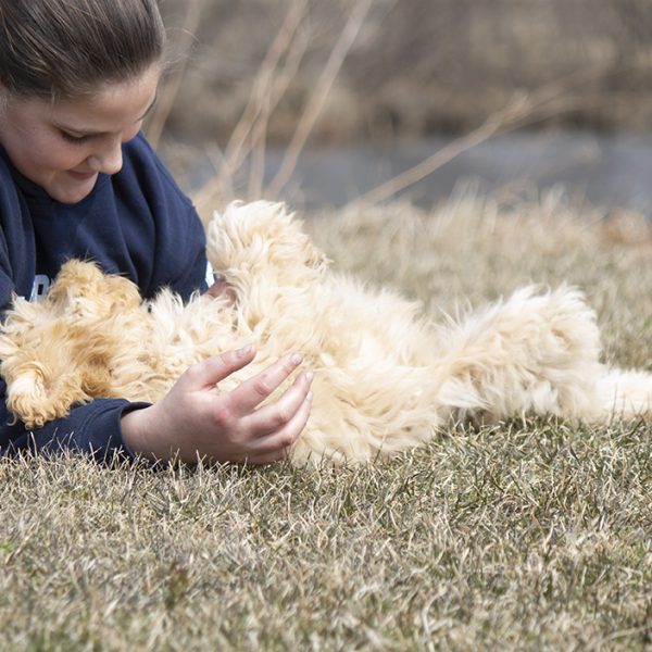 belly rubs