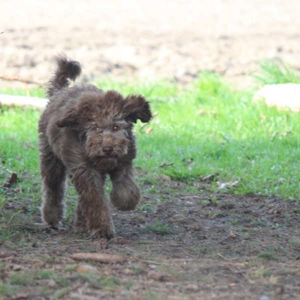 happy here she comes Adsila running