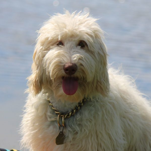 in front of water in front of water