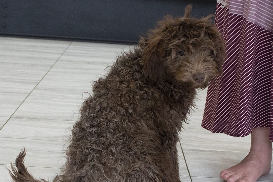 looking over shoulder looking over shoulder