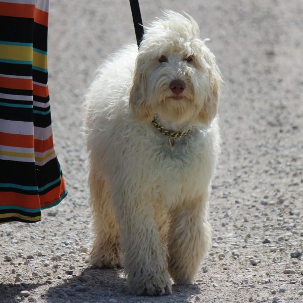 walking towards walking towards