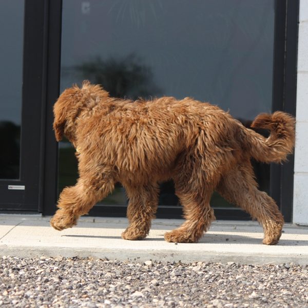 window shopping Adsila moving